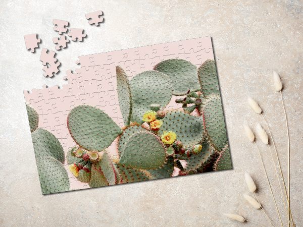 Kachel_Puzzle_cactus.jpg